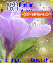 Beautiful Flowers tema screenshot