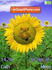 Sunflower tema screenshot