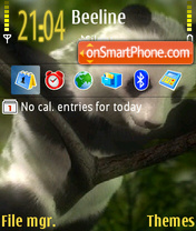 Panda 08 theme screenshot