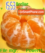 Frut2008 tema screenshot