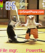 Скриншот темы Cat Karate