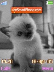 Cat tema screenshot