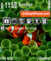 Clown Fish mix2 tema screenshot