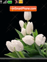 Скриншот темы White tulips animated
