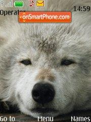 Smug Wolf tema screenshot