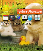 Cute Animals tema screenshot