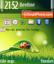 Spring With Ladybug (Touch) theme screenshot