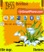 Spring Flowers DF theme screenshot
