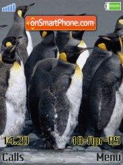 Penguins tema screenshot