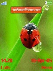 Ladybird Theme-Screenshot