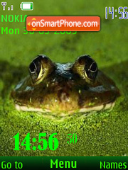 SWF frog 24 wallpaper es el tema de pantalla