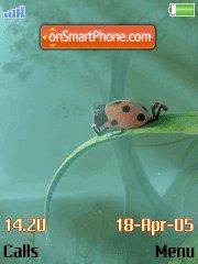 Ladybird es el tema de pantalla