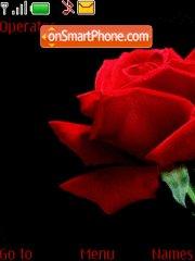 Red Rose tema screenshot