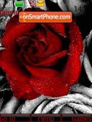 Rose By tema screenshot