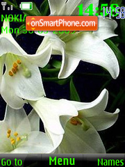 SWF white lily 24 wallpaper tema screenshot