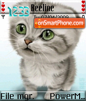 Cute Cat es el tema de pantalla