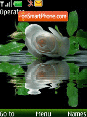 Capture d'écran white roses animated thème