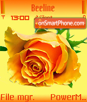 Yellow Rose 01 theme screenshot