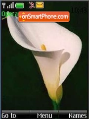 Скриншот темы Calla lily