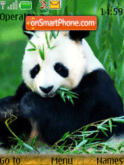 Panda 09 tema screenshot