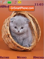 Kitten theme screenshot