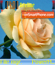 Rose 14 tema screenshot