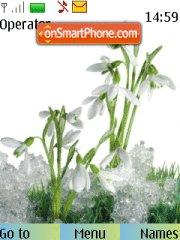 Скриншот темы Snowdrops