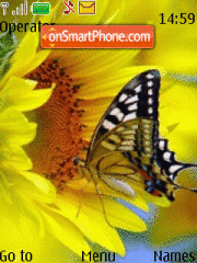 Butterfly Animated tema screenshot