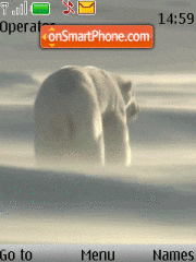 Polar bear animated tema screenshot