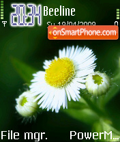 White Flower 01 theme screenshot