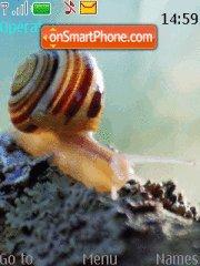 Snail tema screenshot