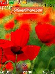 Red Poppies tema screenshot