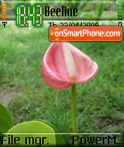 Tulip 01 es el tema de pantalla