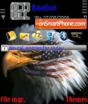 American Eagle 3250 theme screenshot