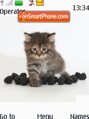 Скриншот темы Cat Blackberry