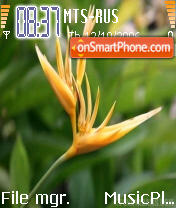 Exotic Flower tema screenshot