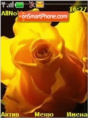 Скриншот темы Yellow Rose