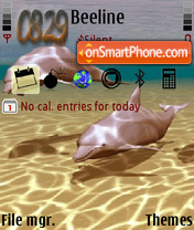 Скриншот темы Dolphins Theme