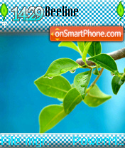 Summer fresh es el tema de pantalla