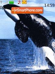 Killer Whale tema screenshot