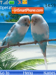 Parrots animated tema screenshot