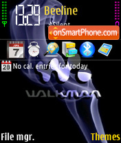 Скриншот темы Walkman