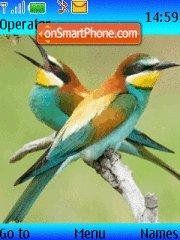 Colorid Birds tema screenshot