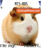 Guinea Pig es el tema de pantalla