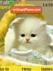 White kitten animated es el tema de pantalla
