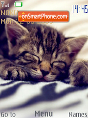 Sleepy Cats tema screenshot