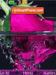 Pink rose and Aqva tema screenshot