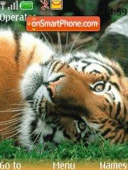 Tiger theme screenshot