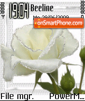 White Rose 02 es el tema de pantalla