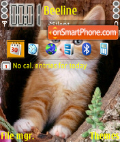 Capture d'écran Cute Cat thème